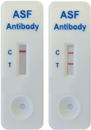 tests